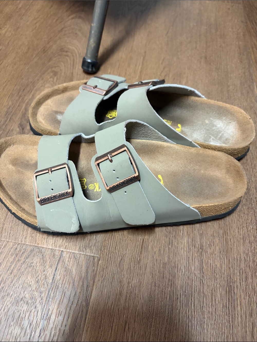 Birkenstock Arizona Two-Strap Sandals in Sage